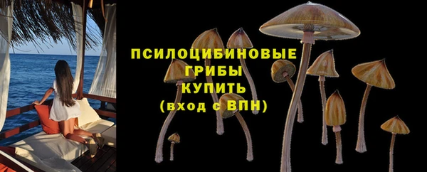 ПСИЛОЦИБИНОВЫЕ ГРИБЫ Лихославль