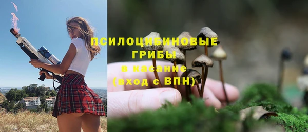 соль ск Магас