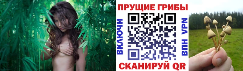 Псилоцибиновые грибы Magic Shrooms Игарка