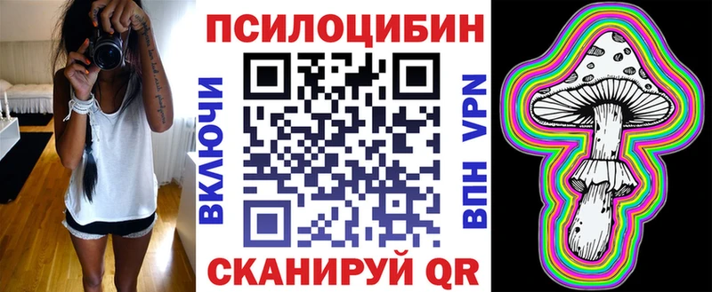 Галлюциногенные грибы Psilocybine cubensis  omg как зайти  Игарка 